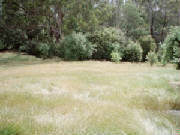 09.jpg