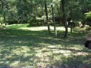 100_0090.jpg