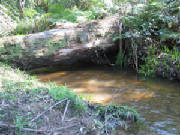 100_0100.jpg