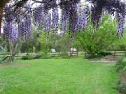 picture00234.jpg