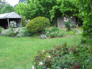 picture307.jpg
