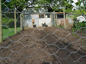 veggardenblank01.jpg