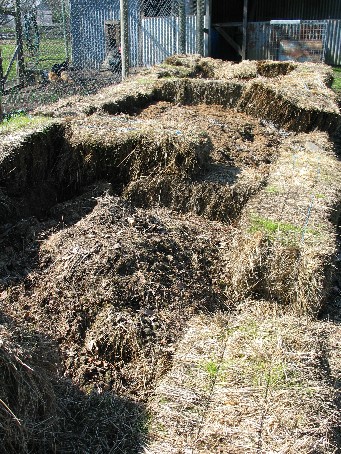 compost01.jpg