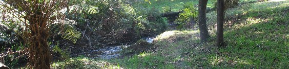 longcreek.jpg