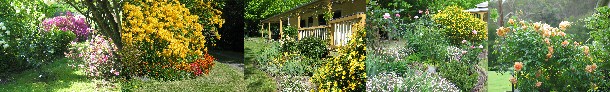 orngardens2.jpg