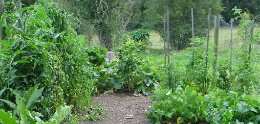 vegies0021.jpg